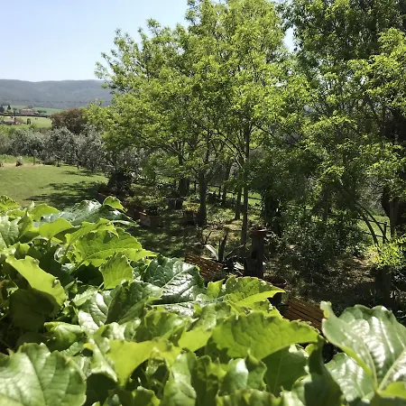 Agriturismo La Leccia Bibbona